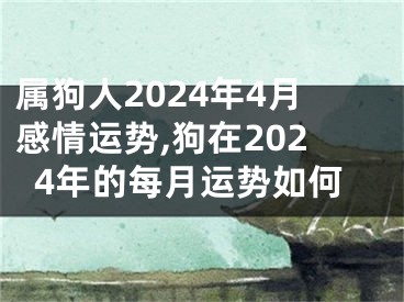 属狗人2024年4月感情运势,狗在2024年的每月运势如何