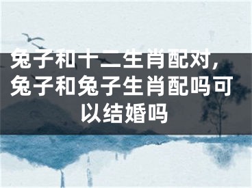 兔子和十二生肖配对,兔子和兔子生肖配吗可以结婚吗