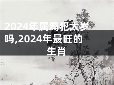 2024年属鸡犯太岁吗,2024年最旺的生肖