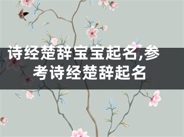 诗经楚辞宝宝起名,参考诗经楚辞起名