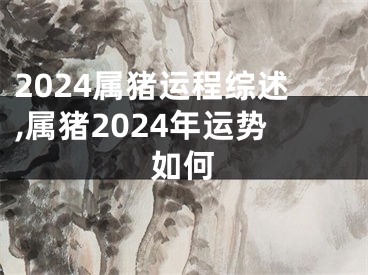 2024属猪运程综述,属猪2024年运势如何