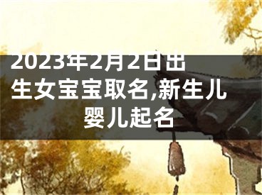 2023年2月2日出生女宝宝取名,新生儿婴儿起名