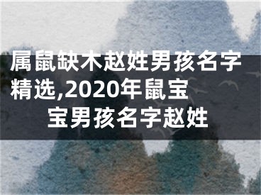 属鼠缺木赵姓男孩名字精选,2020年鼠宝宝男孩名字赵姓