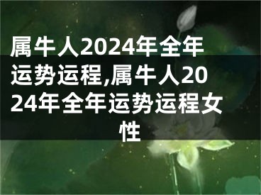 属牛人2024年全年运势运程,属牛人2024年全年运势运程女性