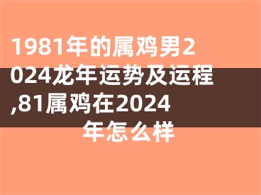 1981年的属鸡男2024龙年运势及运程,81属鸡在2024年怎么样