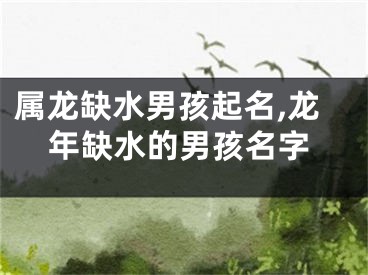 属龙缺水男孩起名,龙年缺水的男孩名字