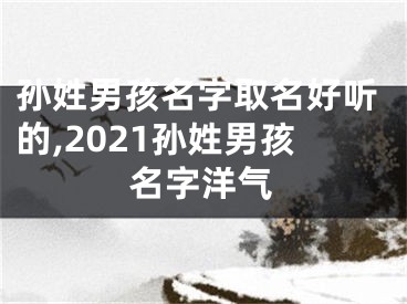 孙姓男孩名字取名好听的,2021孙姓男孩名字洋气