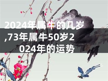 2024年属牛的几岁,73年属牛50岁2024年的运势