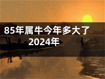 85年属牛今年多大了2024年