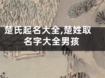 楚氏起名大全,楚姓取名字大全男孩