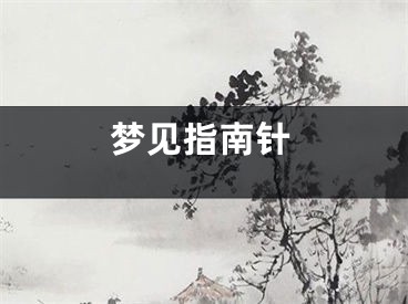 梦见指南针