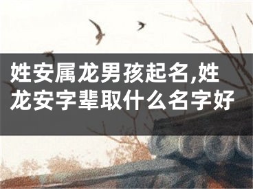 姓安属龙男孩起名,姓龙安字辈取什么名字好