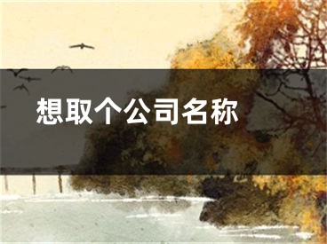  想取个公司名称 