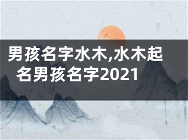 男孩名字水木,水木起名男孩名字2021