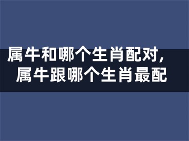 属牛和哪个生肖配对,属牛跟哪个生肖最配