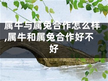 属牛与属兔合作怎么样,属牛和属兔合作好不好