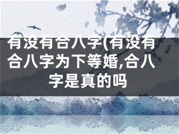 有没有合八字(有没有合八字为下等婚,合八字是真的吗