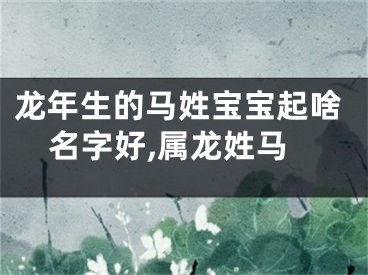 龙年生的马姓宝宝起啥名字好,属龙姓马