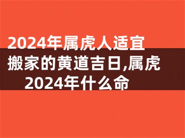 2024年属虎人适宜搬家的黄道吉日,属虎2024年什么命