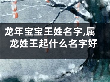 龙年宝宝王姓名字,属龙姓王起什么名字好