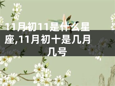 11月初11是什么星座,11月初十是几月几号