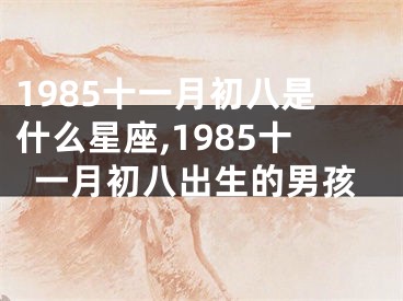 1985十一月初八是什么星座,1985十一月初八出生的男孩