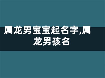 属龙男宝宝起名字,属龙男孩名