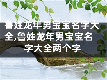 鲁姓龙年男宝宝名字大全,鲁姓龙年男宝宝名字大全两个字