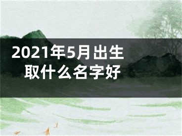  2021年5月出生取什么名字好  