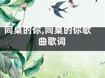 同桌的你,同桌的你歌曲歌词