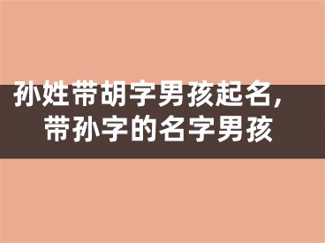 孙姓带胡字男孩起名,带孙字的名字男孩