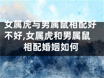 女属虎与男属鼠相配好不好,女属虎和男属鼠相配婚姻如何