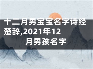 十二月男宝宝名字诗经楚辞,2021年12月男孩名字