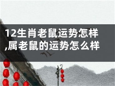 12生肖老鼠运势怎样,属老鼠的运势怎么样