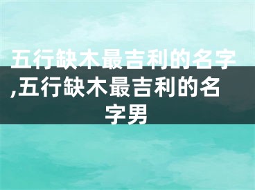 五行缺木最吉利的名字,五行缺木最吉利的名字男