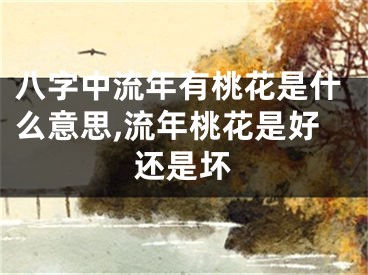 八字中流年有桃花是什么意思,流年桃花是好还是坏