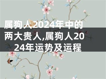 属狗人2024年中的两大贵人,属狗人2024年运势及运程