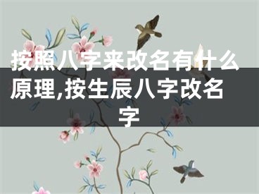 按照八字来改名有什么原理,按生辰八字改名字