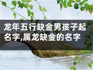 龙年五行缺金男孩子起名字,属龙缺金的名字