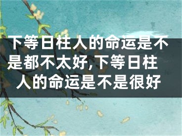 下等日柱人的命运是不是都不太好,下等日柱人的命运是不是很好