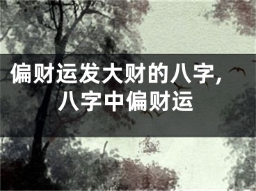 偏财运发大财的八字,八字中偏财运