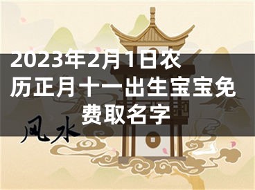 2023年2月1日农历正月十一出生宝宝免费取名字