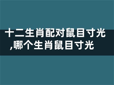 十二生肖配对鼠目寸光,哪个生肖鼠目寸光