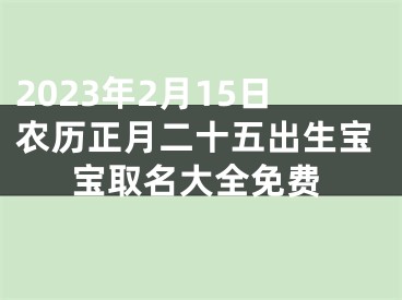 2023年2月15日农历正月二十五出生宝宝取名大全免费