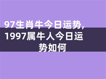 97生肖牛今日运势,1997属牛人今日运势如何