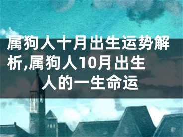 属狗人十月出生运势解析,属狗人10月出生人的一生命运