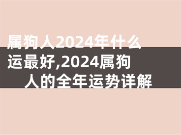 属狗人2024年什么运最好,2024属狗人的全年运势详解