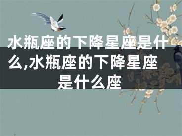 水瓶座的下降星座是什么,水瓶座的下降星座是什么座