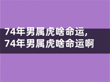 74年男属虎啥命运,74年男属虎啥命运啊