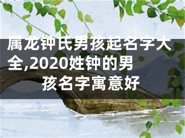 属龙钟氏男孩起名字大全,2020姓钟的男孩名字寓意好